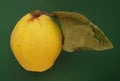 Fresh organic quince with leafÃÂ over green background.